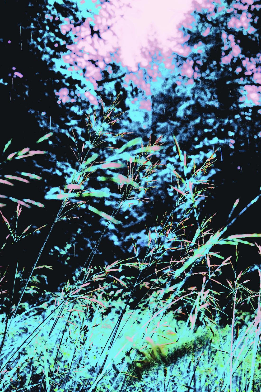 hautes herbes
